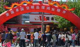 国产精品馆,匠心独运，传承与创新并重的文化瑰宝之旅